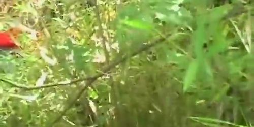 Forest sharking attack with some curvy splendid slut being really stunned