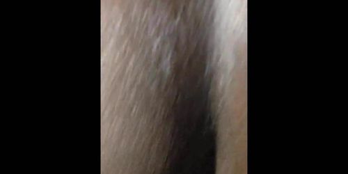 Ebony couple closeup vaginal sex