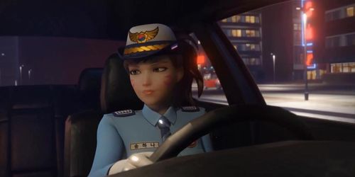 Police d.va