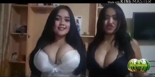 Duo Semangka Sex - Asian titty twerking - Duo Semangka - Tnaflix.com