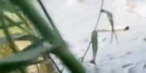 The pair having sex in the water in the pond.