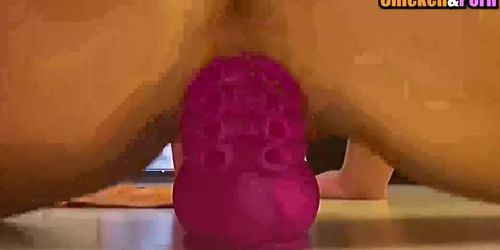 I think she likes her new toy