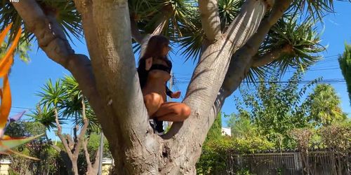 Agatha Vega Palme tree  1080p