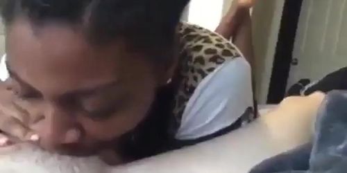 ebony teen sucks a white cock