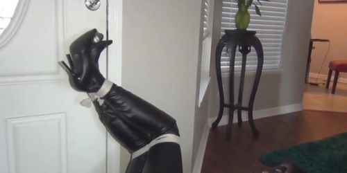 Superheroine Catwoman Captured Bound and Humiliated