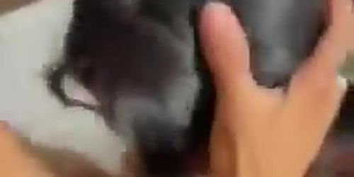 Michelle Rabbit blowjob and fuck