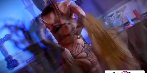 Pornstar Tease - Felicity Feline big boobs, big booty and tight wet pussy porn