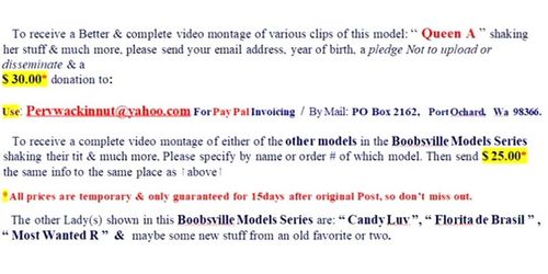 47th Web Models of Boobsville (Promo)
