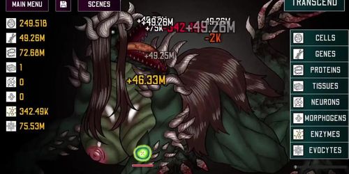 ANOMALY EVOLUTION-EVOLUTION 22