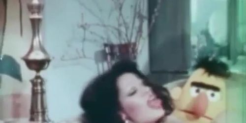 vanessa_del_rio_vintage_fist_fuck_loop