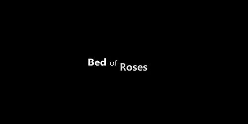Bed Of Roses - S12:E13 - Veronica Rodriguez (Bruce Venture)