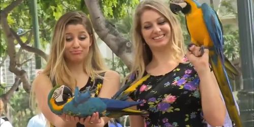 Nicole and Veronica: Waikiki Outdoor Lesbian Heat 1