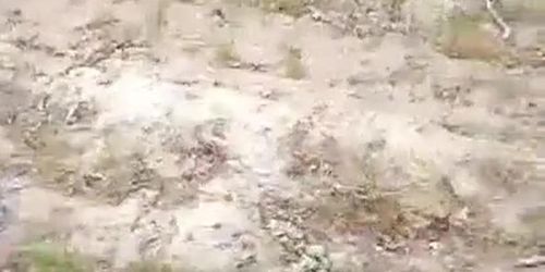 Amateur webcam mature tease and show her boobs in park