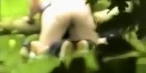Pounding her pussy in the wild