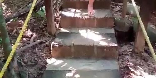 Asian Pussy Flashing 2 in Forest Park