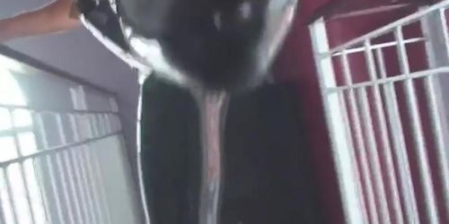 Latex lover