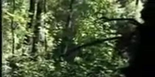 sexy girlfriend goes out in the woods with her boyfriend & lets him fuck her on camera