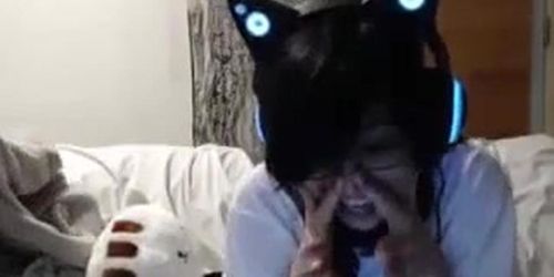kitty dance