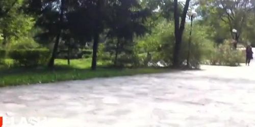 Park Flash 1