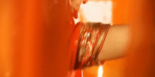 Exotic Lover From Bollywood
