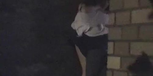 Two Japanese Couples Night Park Sex (amateur )