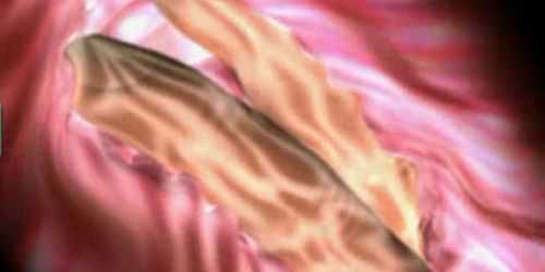 Animated with huge tits gets banged