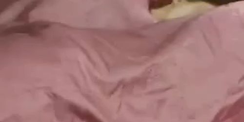 orgasmic 203