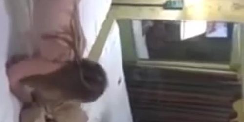White Whore Girl Vs Bbc Cuckold Part