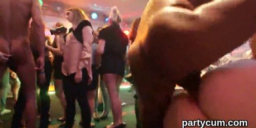 Slutty nymphos get fully insane and stripped at hardcore party