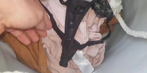 Worn wet dirty panties from laundry grool - Tnaflix.com