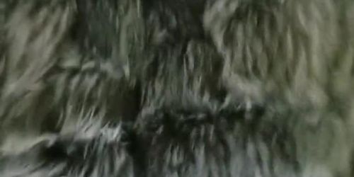 Babygirl getting fucked in a silver fox fur 