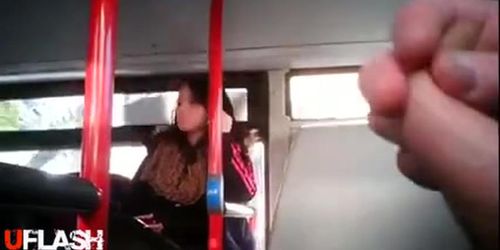 flash bus