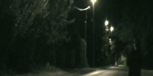 MerDsaC j'ai couchÃƒÂ© avec un loup