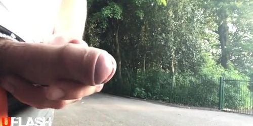 mature park flash