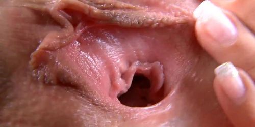 Pussy Closeup