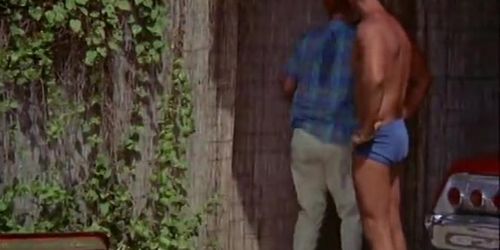 Curious Men Want to Have Lots of Fun