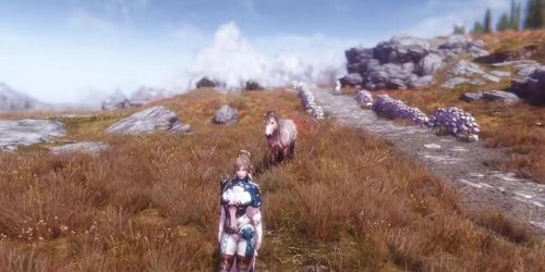 Skyrim Sex Journey - Jane 014 dance in wild