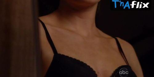 Stana Katic Underwear Scene  in Castle