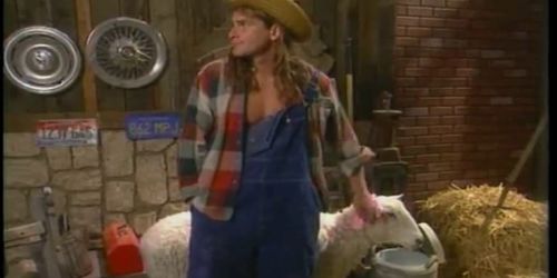 Barnyard Romp (Blondie Anderson)