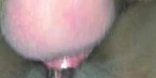 Ebony teen didn’t want me to record until I pulled back on tht hair 