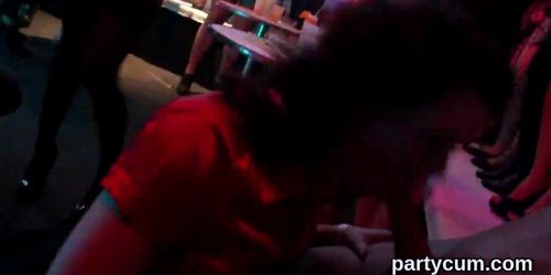 Horny kittens get entirely wild and naked at hardcore party