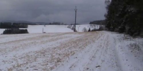 Schneehaeschen auf der Weide