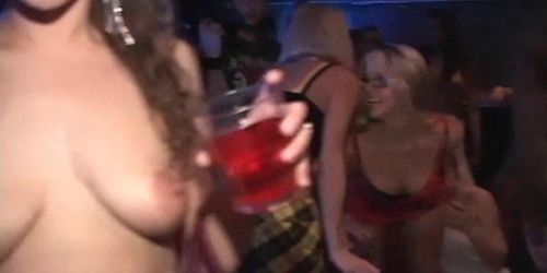 Tempting party chicks flashing tits and cunts in the VIP room