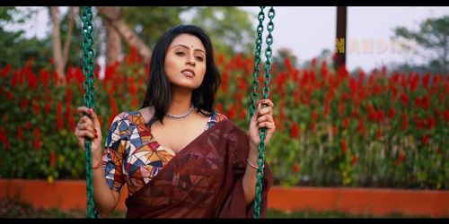 Indian saree