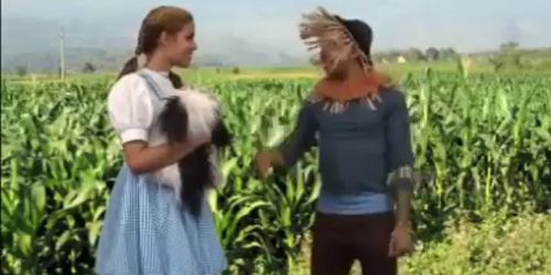 The Wizard of Oz (Parody) - Very Funny Short Version