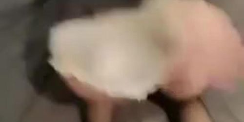 ???????????/18???/?????????fb5523?????????
