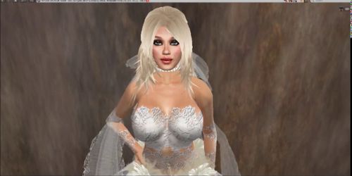 Second Life-Virgin Bride Part 2 Wedding Gangbang