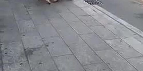 Chinese catfight