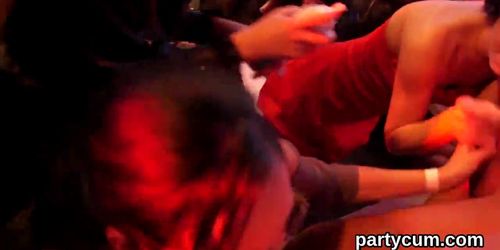 Hot nymphos get fully silly and stripped at hardcore party