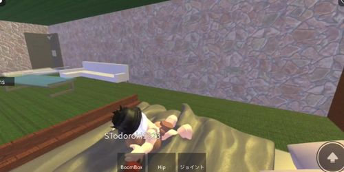 Roblox sex